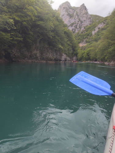 IMG 29289b101e6d5886e7c27bcfac4d0682 V