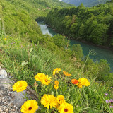 IMG 20240504 174436