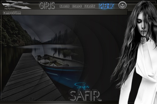 bir türkünün sade bayan.jpg