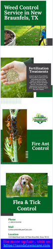 Effective Weed Control And Treatment Services At A&A Lawn Care.png