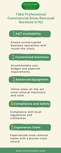 Take Professional Commercial Snow Removal Services in NJ.png
