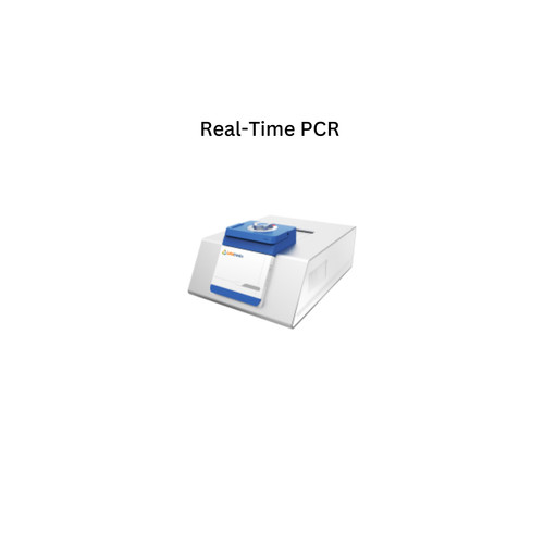 Real Time PCR.jpg