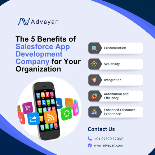The 5 Benefits of Salesforce App Development Company for Your Organization.jpg