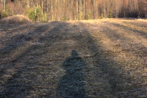 IMG 1312 1.jpg