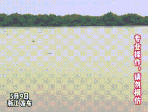 GxtLqS42uzYwWce.gif