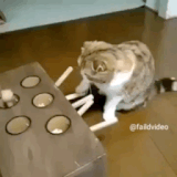 vaJf41XM9DTO6y7.gif
