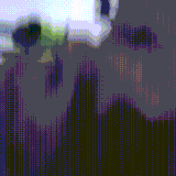 雷电法王.gif