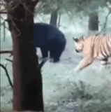 欺负班上的胖子的感觉.gif