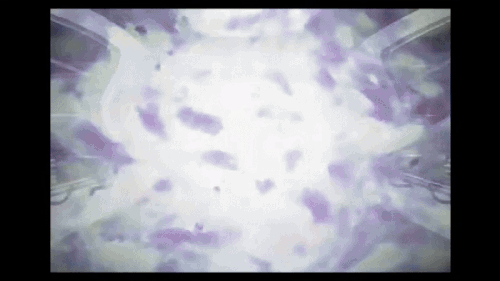 ezgif 4 f019740b0e.gif