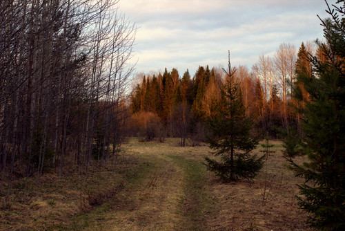 IMG 2148.jpg