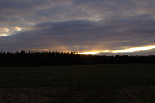 IMG 2150.jpg