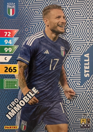 96.jpg