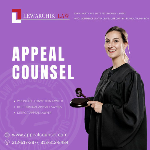 Detroit Appeal Lawyer | Appeal Counsel.jpg