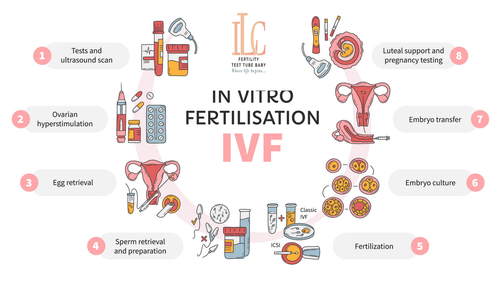 In-vitro-fertilization-ivf-circle.png