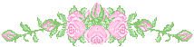 hsna8 c1a.gif