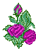 hs hprs 1l.gif