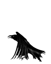 raven2.gif