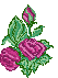 hs myrs 1r.gif