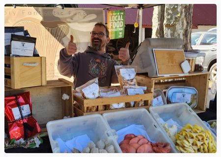 Simon Divine Mushrooms (2).jpg