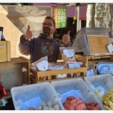 Simon Divine Mushrooms (2)