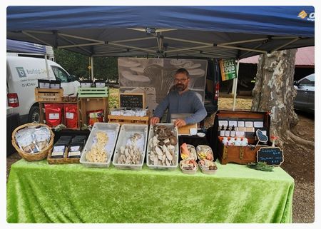 Simon Divine Mushrooms.jpg