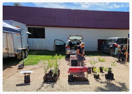 Rigby Cottage Fruit Trees (2).jpg