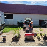 Rigby Cottage Fruit Trees (2)