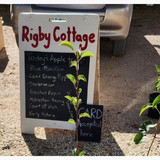 Rigby Cottage Fruit Trees