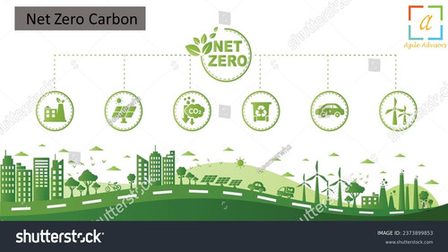 24.5.24 nzcarbon.jpg
