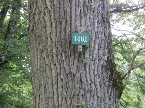 n° de parcelle