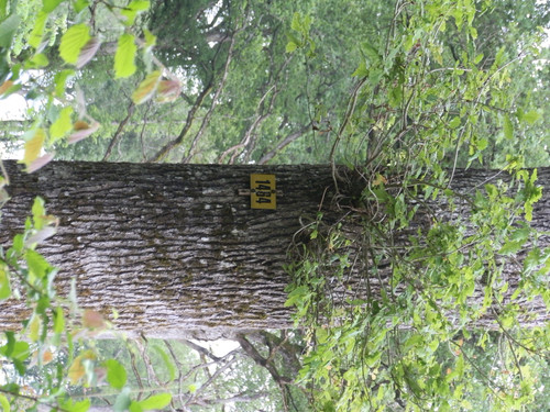 n° de parcelle