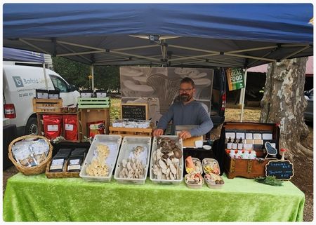 Divine Mushrooms.jpg