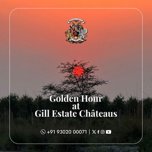 Gill Estate Chateaus Luxury Farmhouse with Cultural Richness.jpg