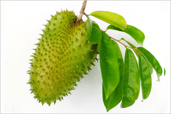 soursop 300x250.jpg