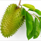 soursop 300x250