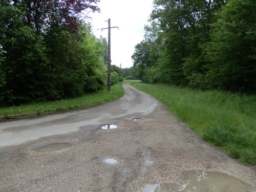 Saran Marche forêt d'Orléans 18