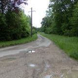 Saran Marche forêt d'Orléans 18