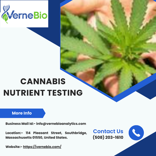 Attain Desired Cannabis Yield, Ensuring Healthy Conditions.png