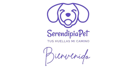 Captura de pantalla 2024 05 25 033655.png