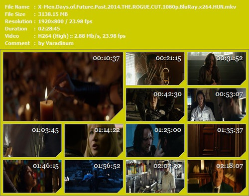 X Men.Days.of.Future.Past.2014.THE.ROGUE.CUT.1080p.BluRay.x264.HUN.mkv.jpg