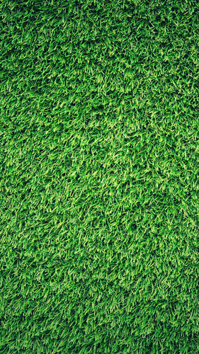 wp4071277 grass wallpapers.jpg