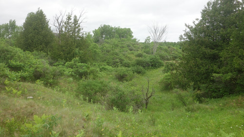 DSC09467.jpg