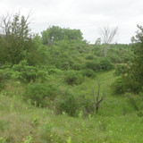 DSC09467