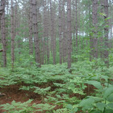 DSC09474