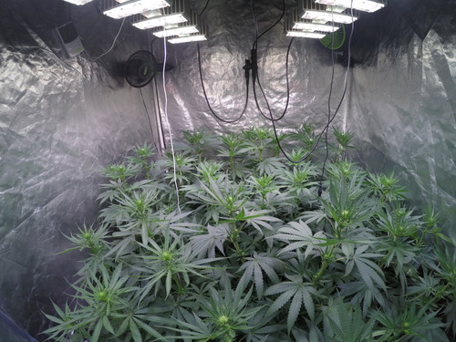 GOPR3211 1593183382204