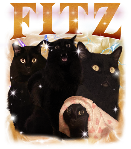 Fitz.png