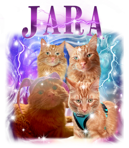 3138191700.png