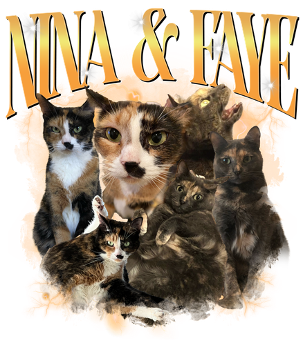 NINA.png