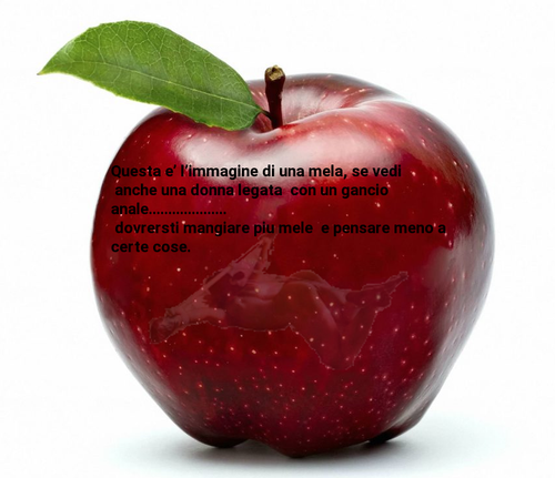 maela1.png