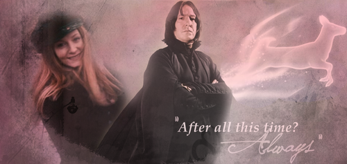  Always severus snape and lily evans 23041438 1000 500.png